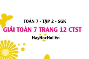 Giải Toán 7 trang 12 tập 2 Chân trời sáng tạo SGK